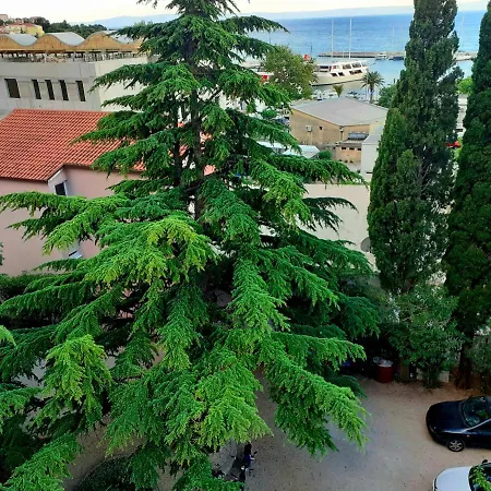 Libe Apartment