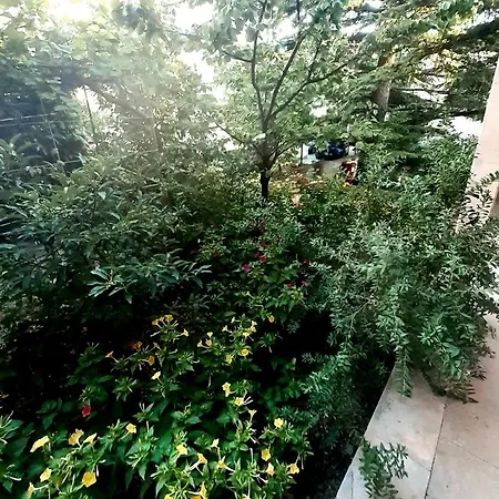Libe Apartment