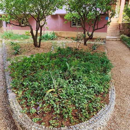 Apartment Libe