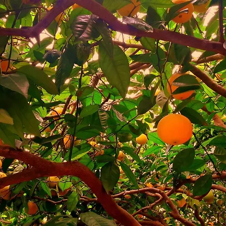 Apartmán Libe Baška Voda