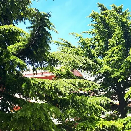 Appartamento Libe Baška Voda